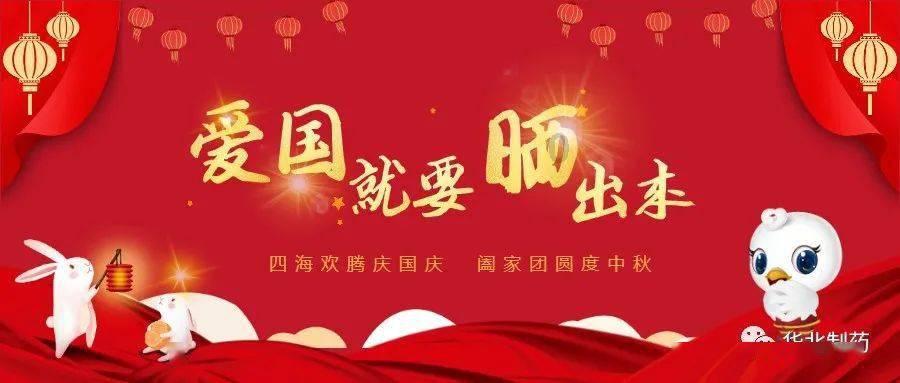 仙人球浇水过多，从根部开始烂了怎么办？还能活么